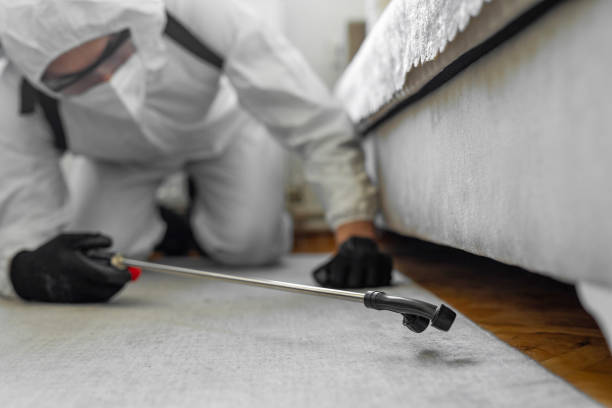 Professional Bed Bug Control technician working in Sioux Center, IA
